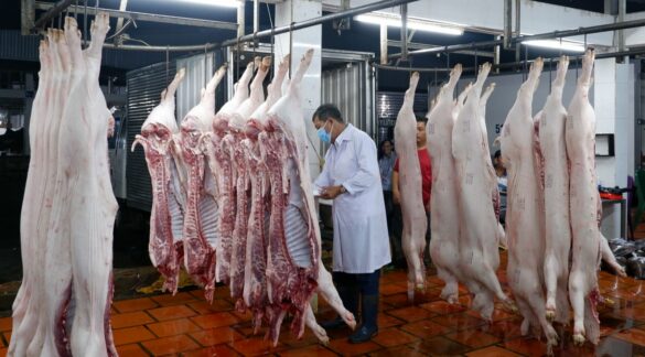 Quy định về giết mổ gia súc gia cầm năm 2023 ra sao?