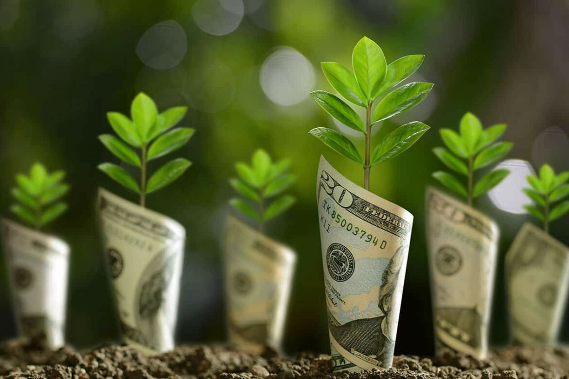 Bạo lực kinh tế là gì