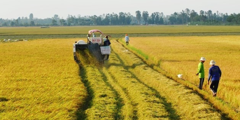 Chuyển đổi đất canh tác sang đất thổ cư như thế nào?