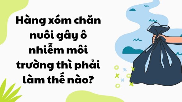 Quy định về bồi thường thiệt hại do ô nhiễm môi trường