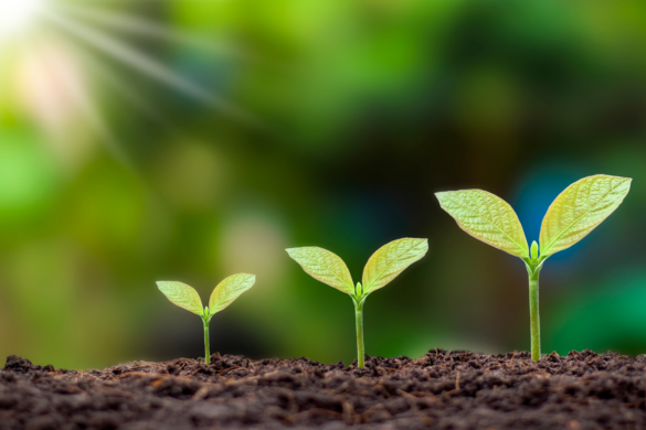 Mẫu đơn khiếu nại về ô nhiễm môi trường mới năm 2023