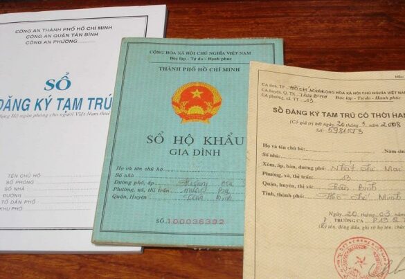 Mẫu đơn xin nhập khẩu cho con theo mẹ 2023