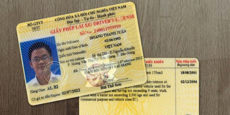 Hướng dẫn cách tra số giấy phép lái xe qua họ tên