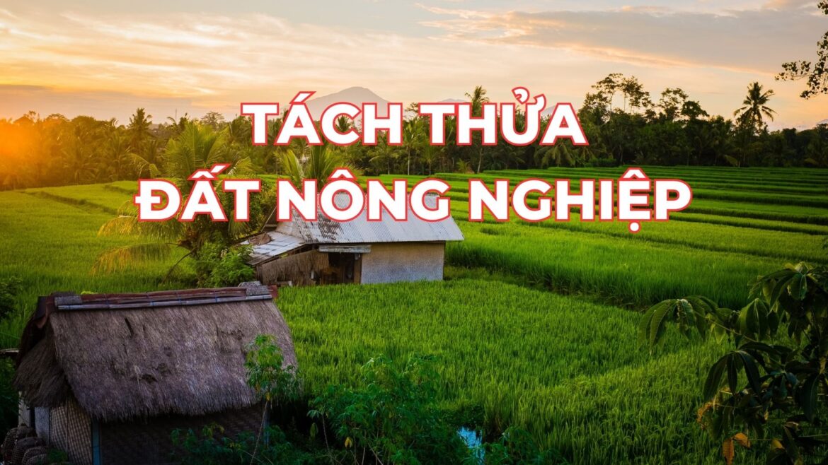 Diện tích tối thiểu tách thửa đất nông nghiệp 2024 Diện tích tối thiểu tách thửa đất nông nghiệp 2024