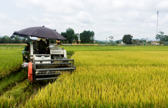 Mẫu đơn xin trả ruộng đất cho nhà nước 