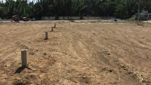 Mẫu giấy xác nhận giáp ranh đất 2024