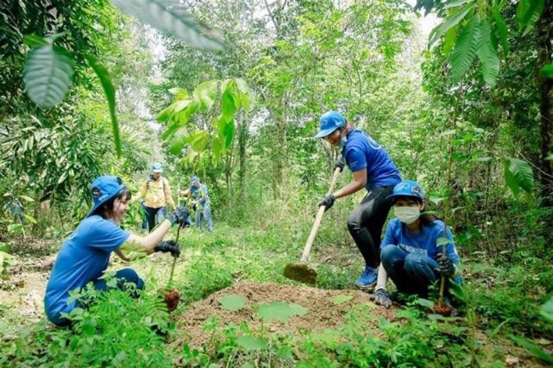 Quy định về giao đất lâm nghiệp năm 2023 như thế nào?