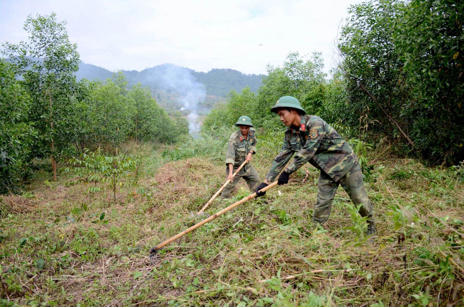 Năm 2023 đất quốc phòng cấp cho quân nhân có được chuyển nhượng?