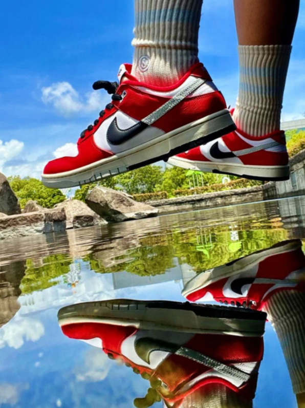G100Z Nike Dunk SB Low $50 gallery
