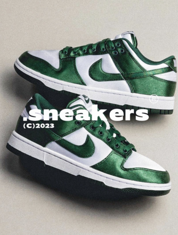 G100Z Nike Dunk SB Low $50 gallery