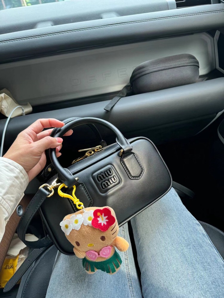 ZH011 Miu Miu Handbag 45$ gallery