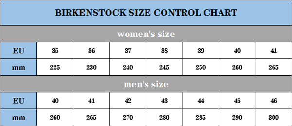 ZH142 Birkenstock slippers 38$ gallery