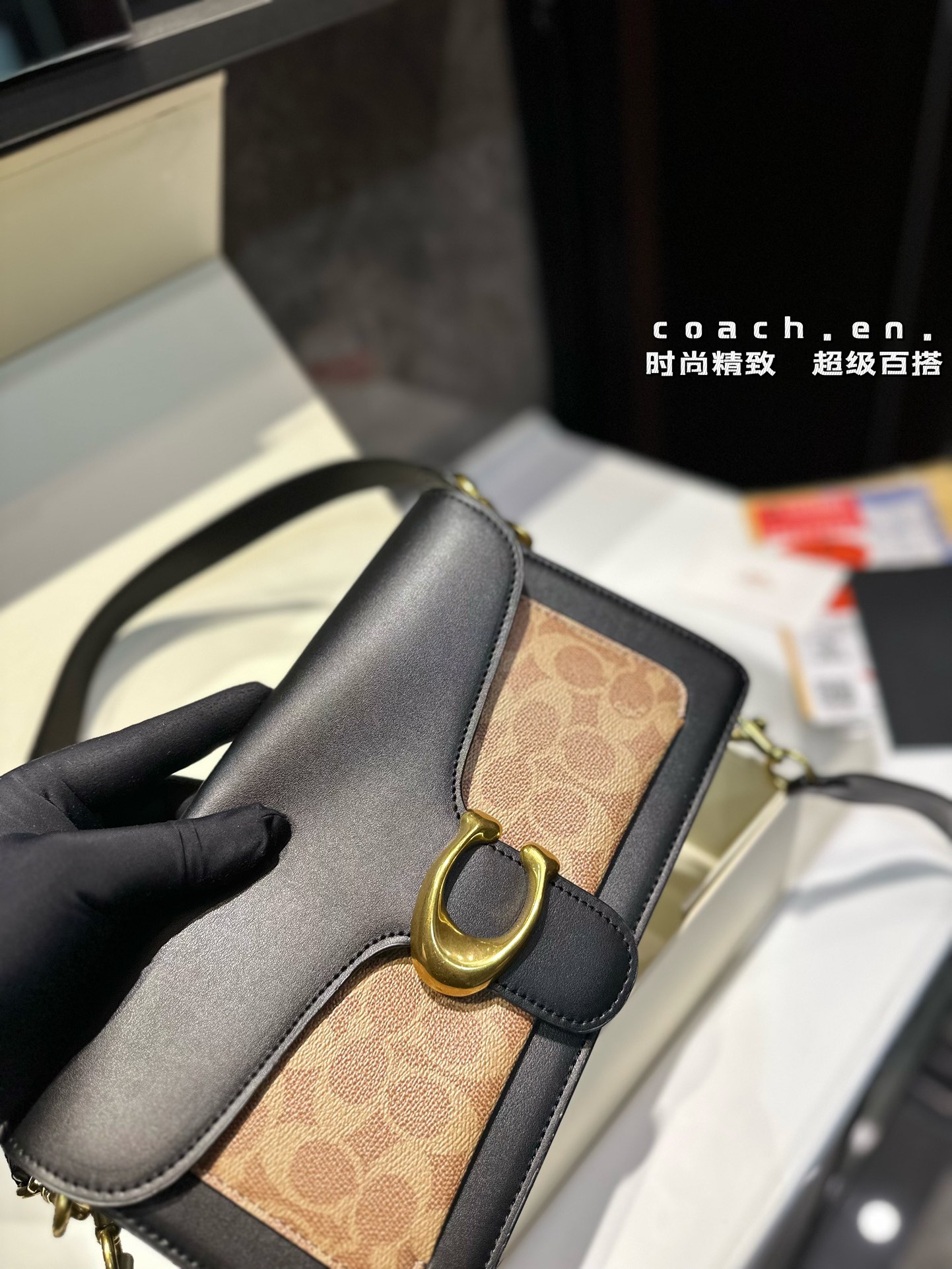 L0202-COACH-470 gallery