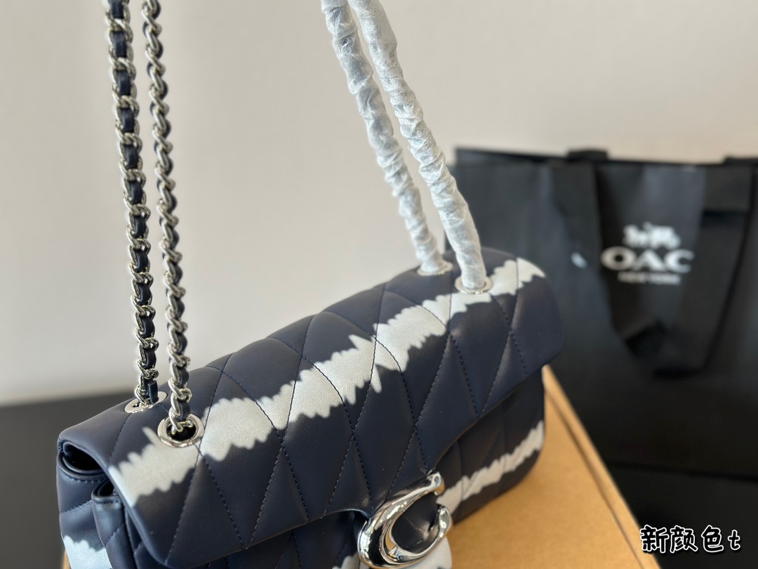 L0300-COACH-520 gallery