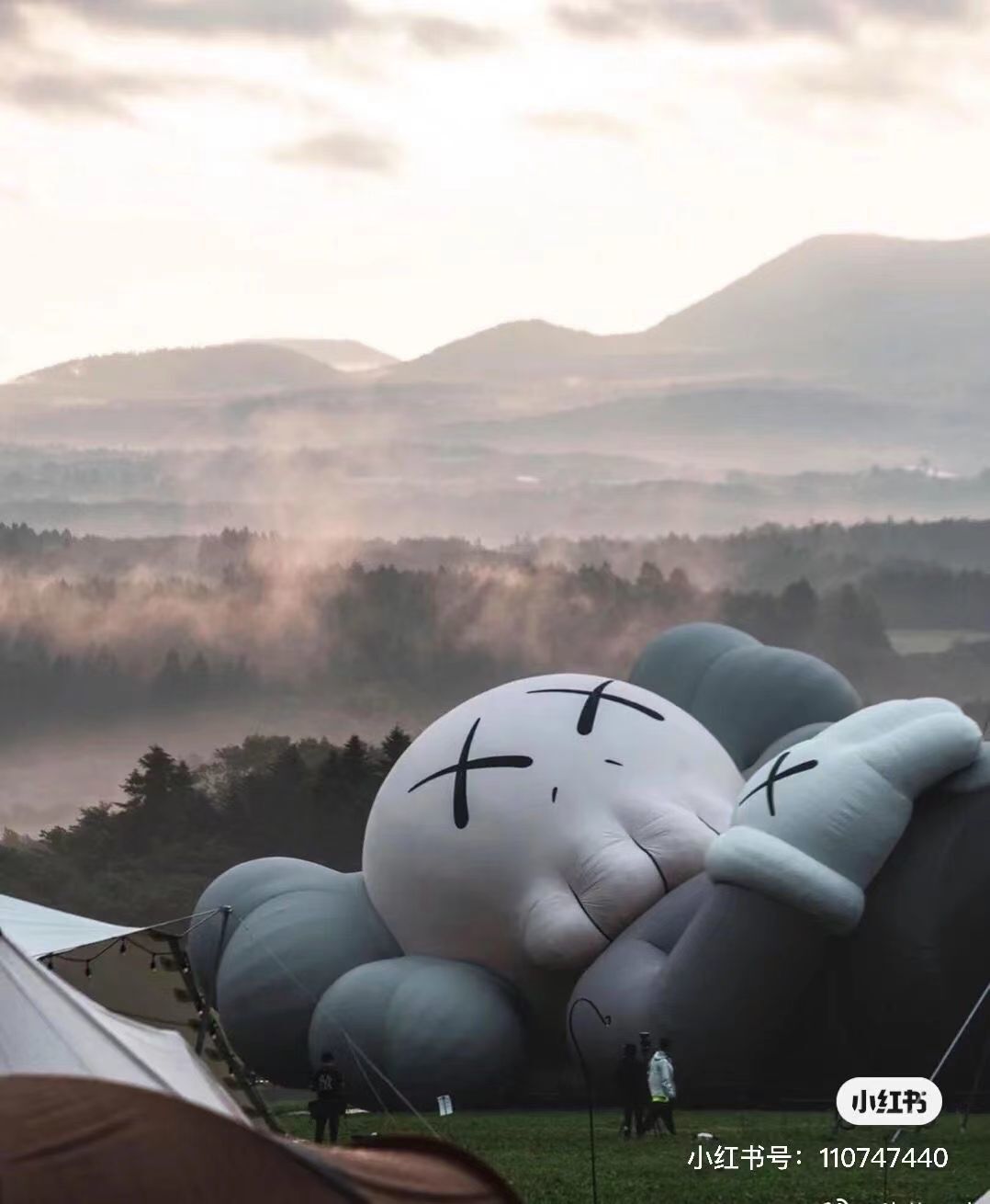 $42.99-LDN-463 KS gallery