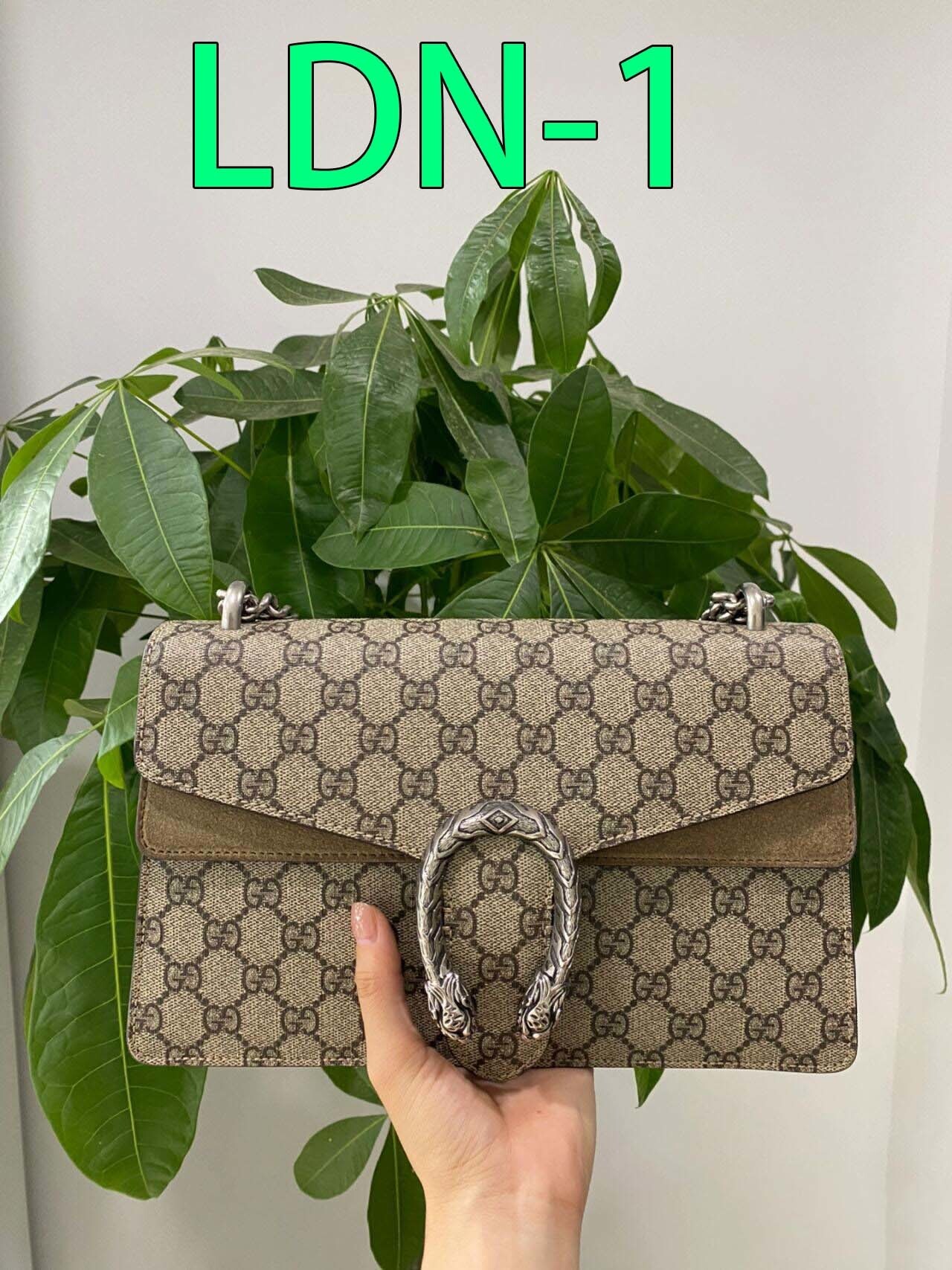 $55-LDN-232 GCI gallery