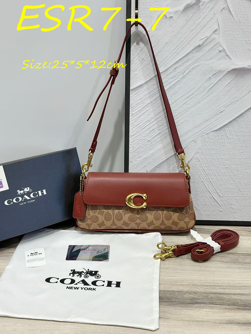 ESR7 Coach bag $49.90 gallery