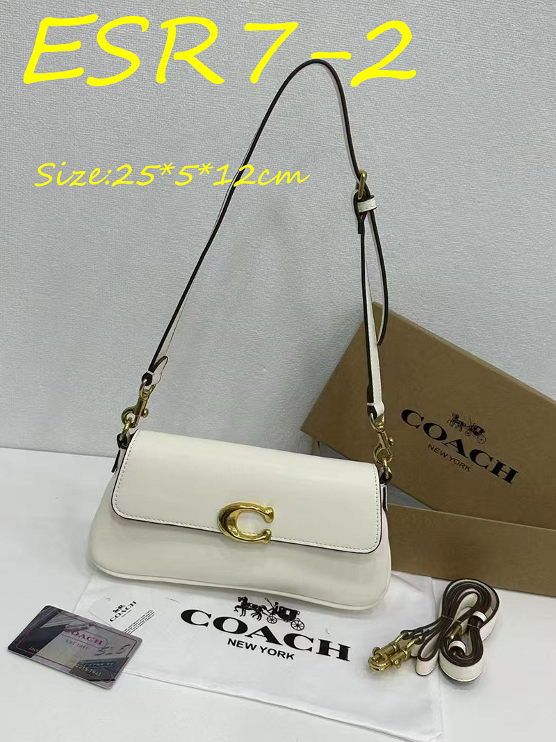 ESR7 Coach bag $49.90 gallery