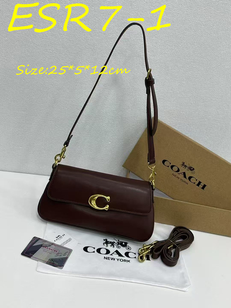 ESR7 Coach bag $49.90 gallery