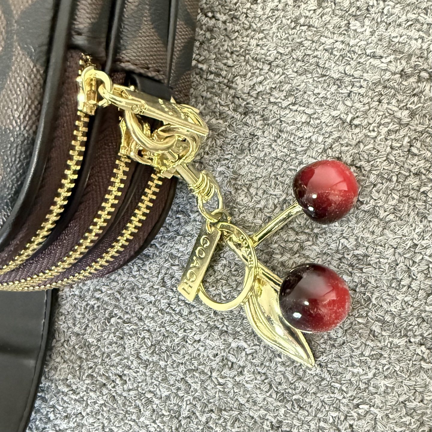 GS95 Coach bag $35.90 gallery