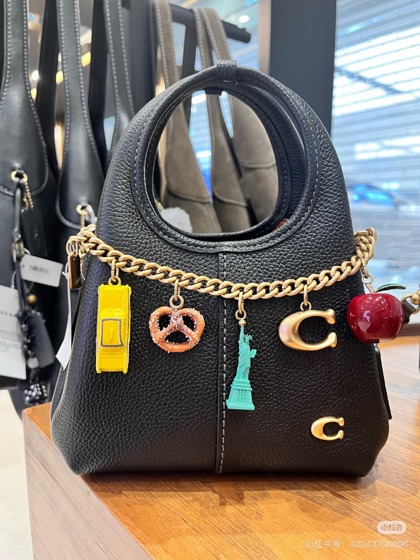 27253-COACH-499 gallery