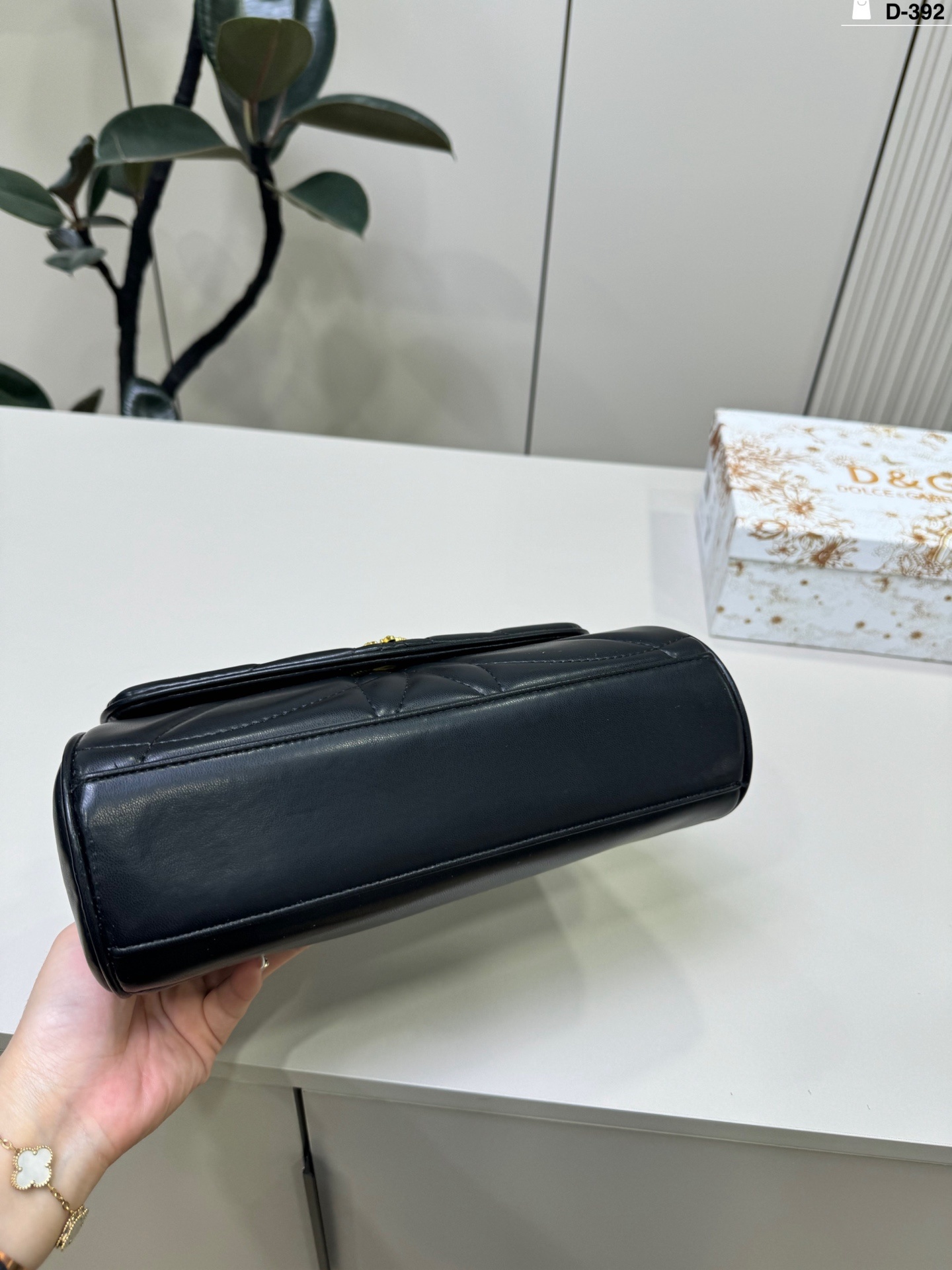 27264-D&G-398 gallery