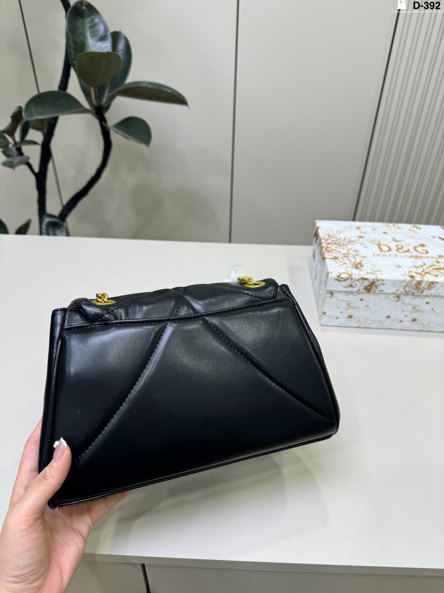 27264-D&G-398 gallery