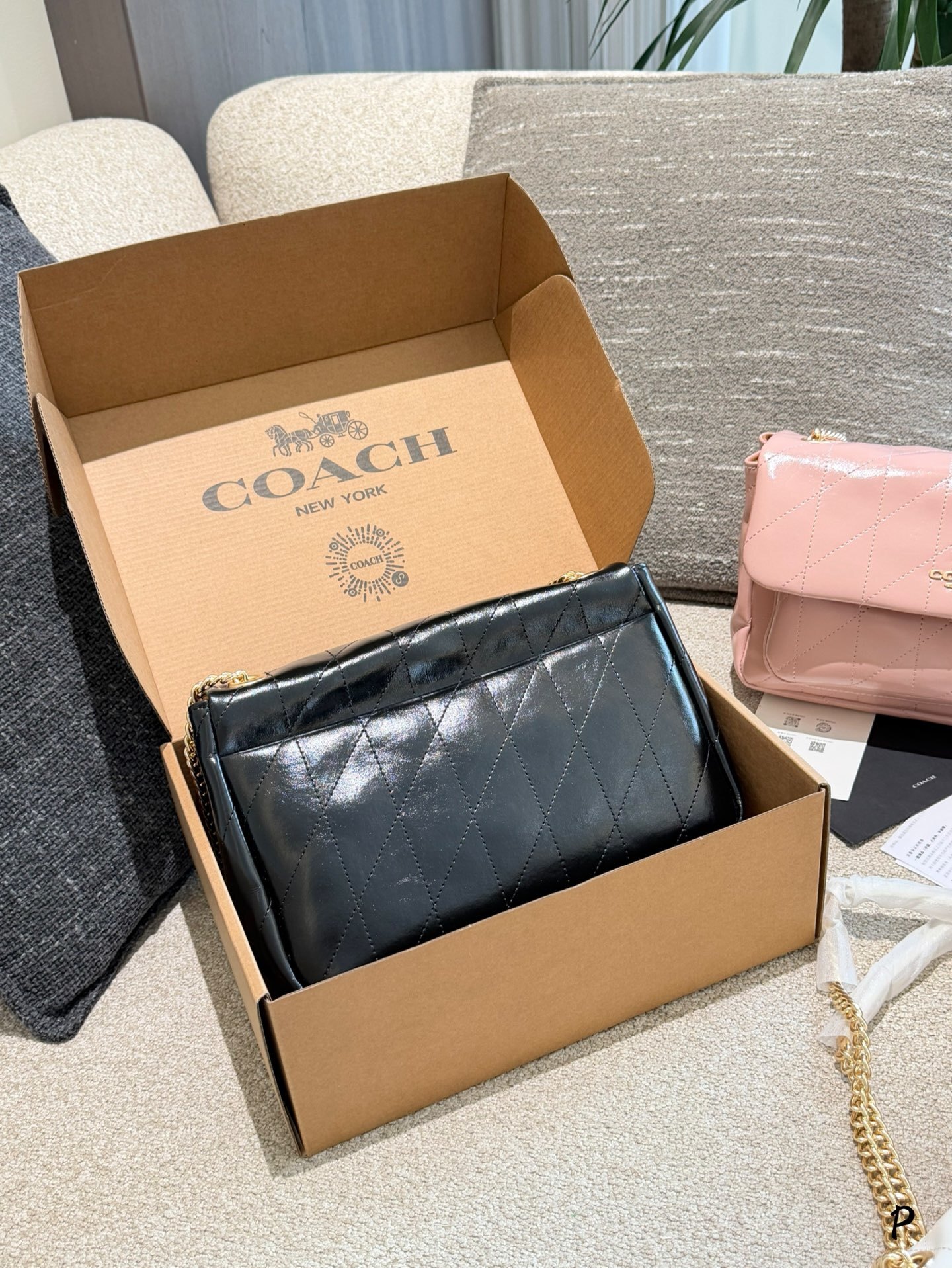 27298-COACH-500 gallery