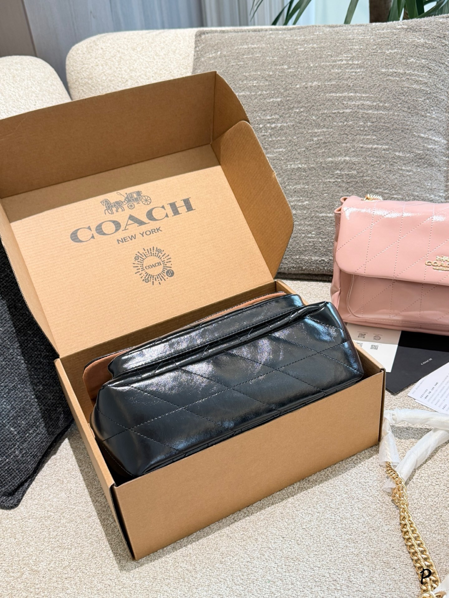 27298-COACH-500 gallery