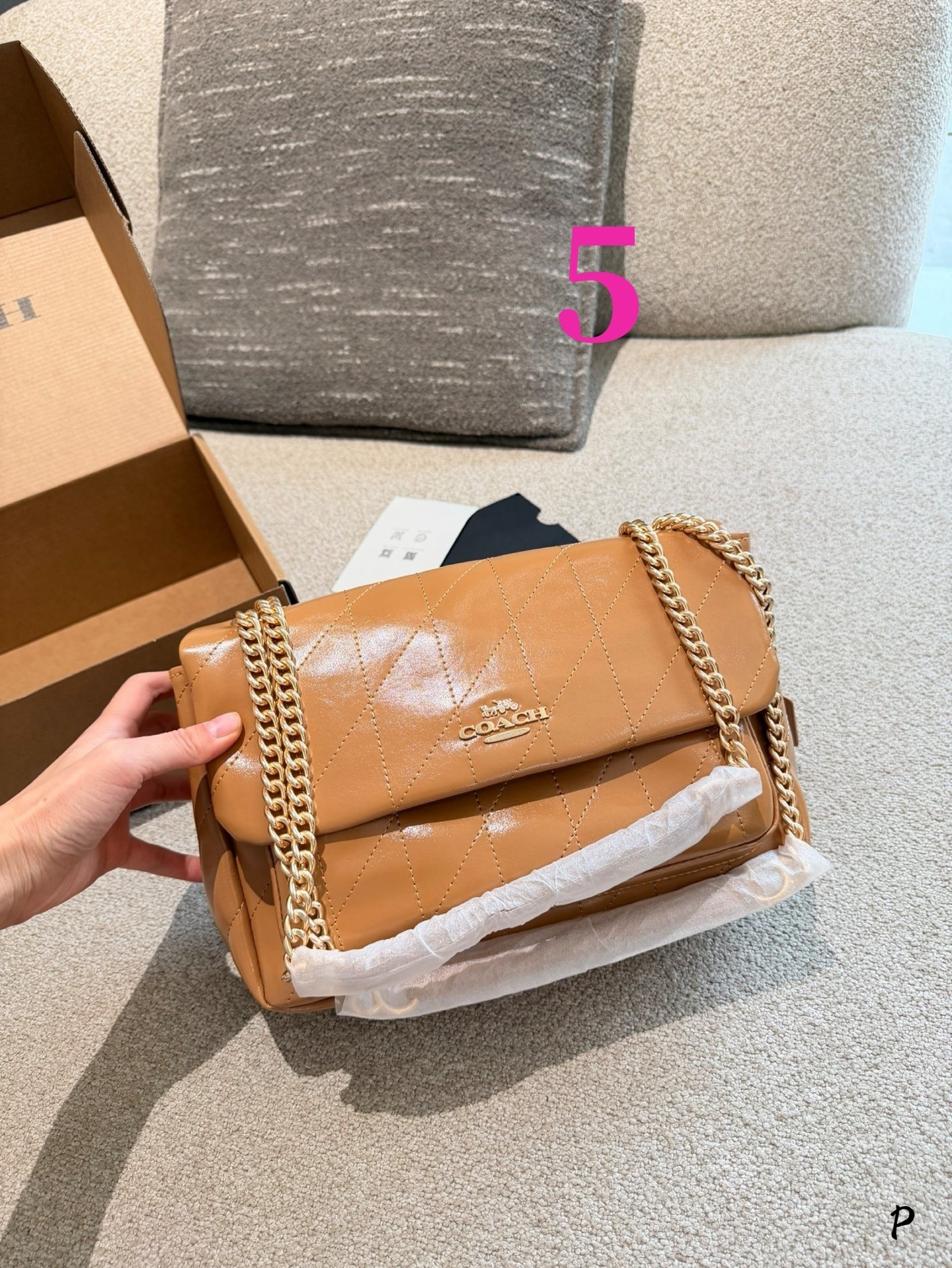 27298-COACH-500 gallery