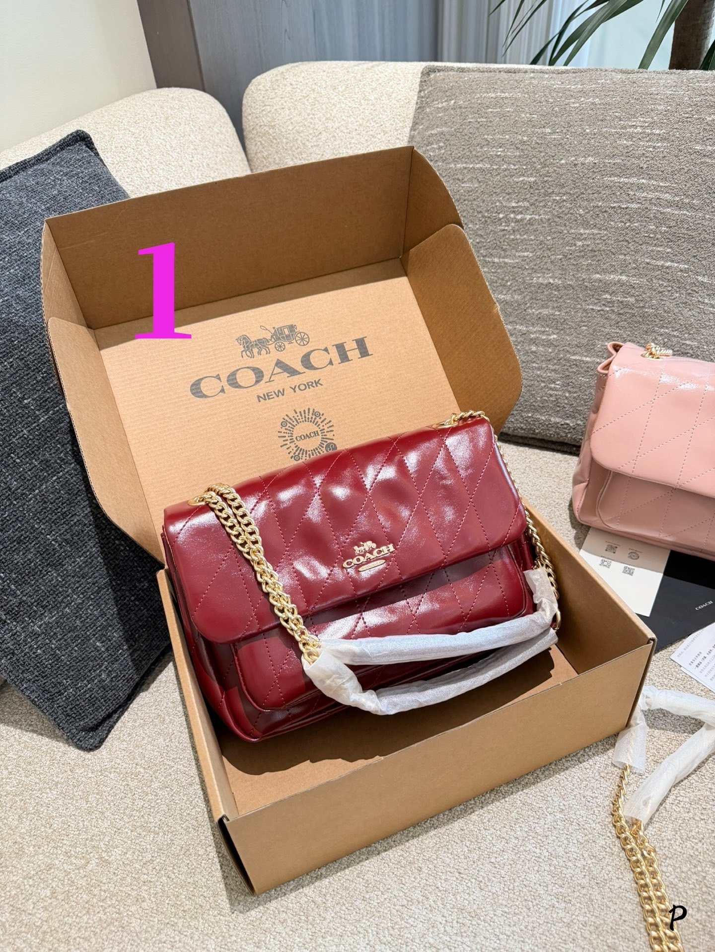 27298-COACH-500 gallery