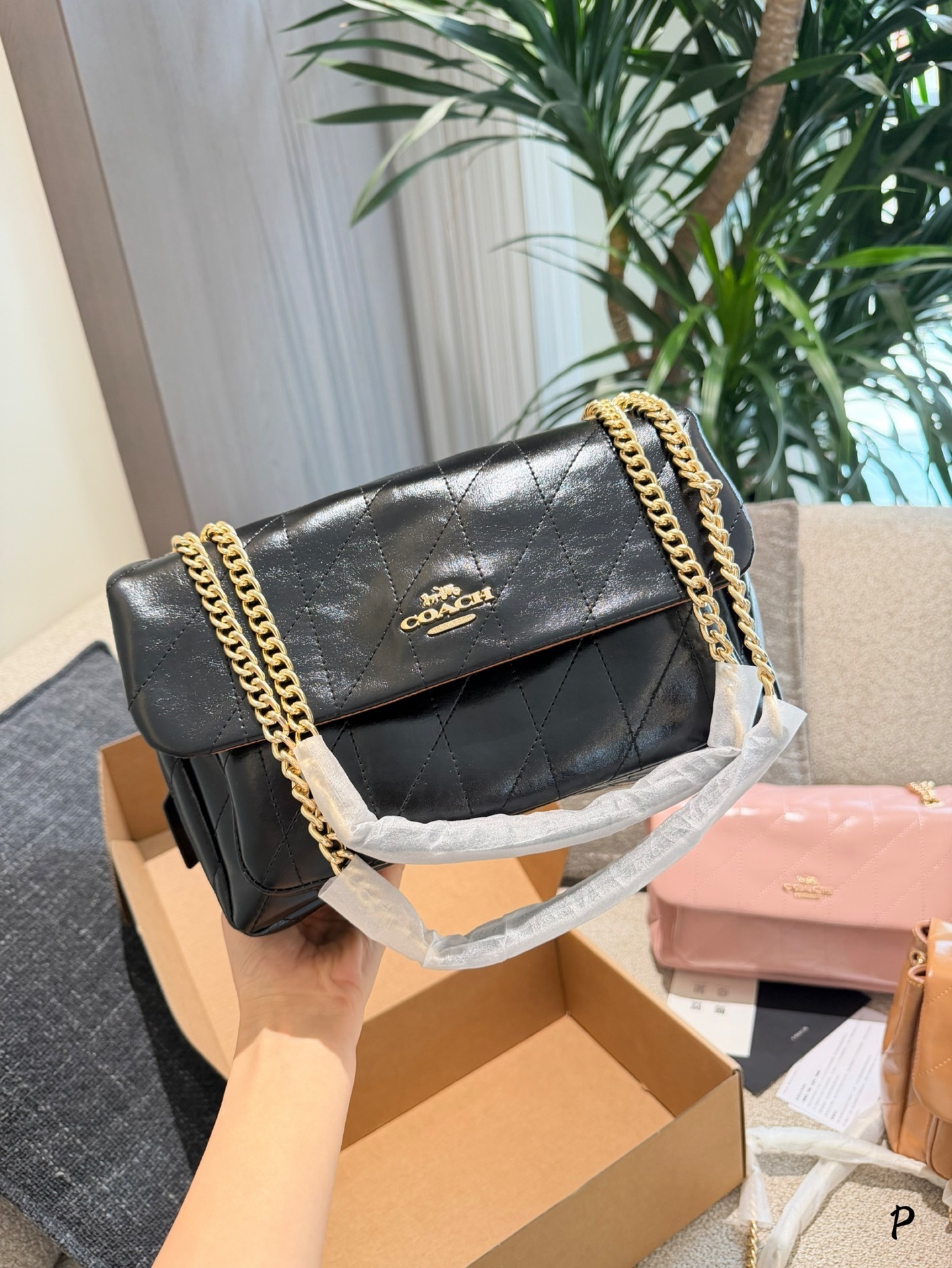 27298-COACH-500 gallery