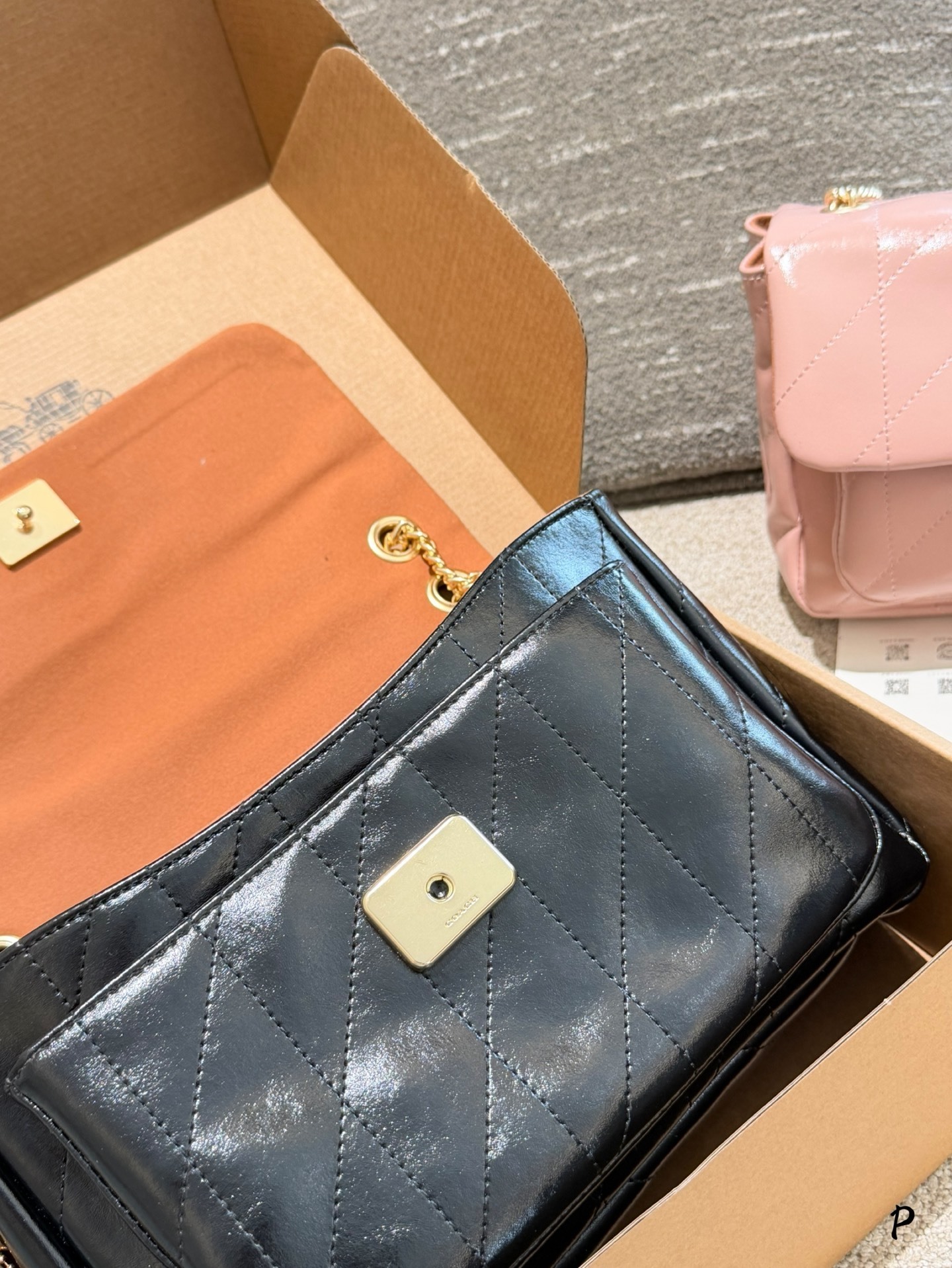 27298-COACH-500 gallery