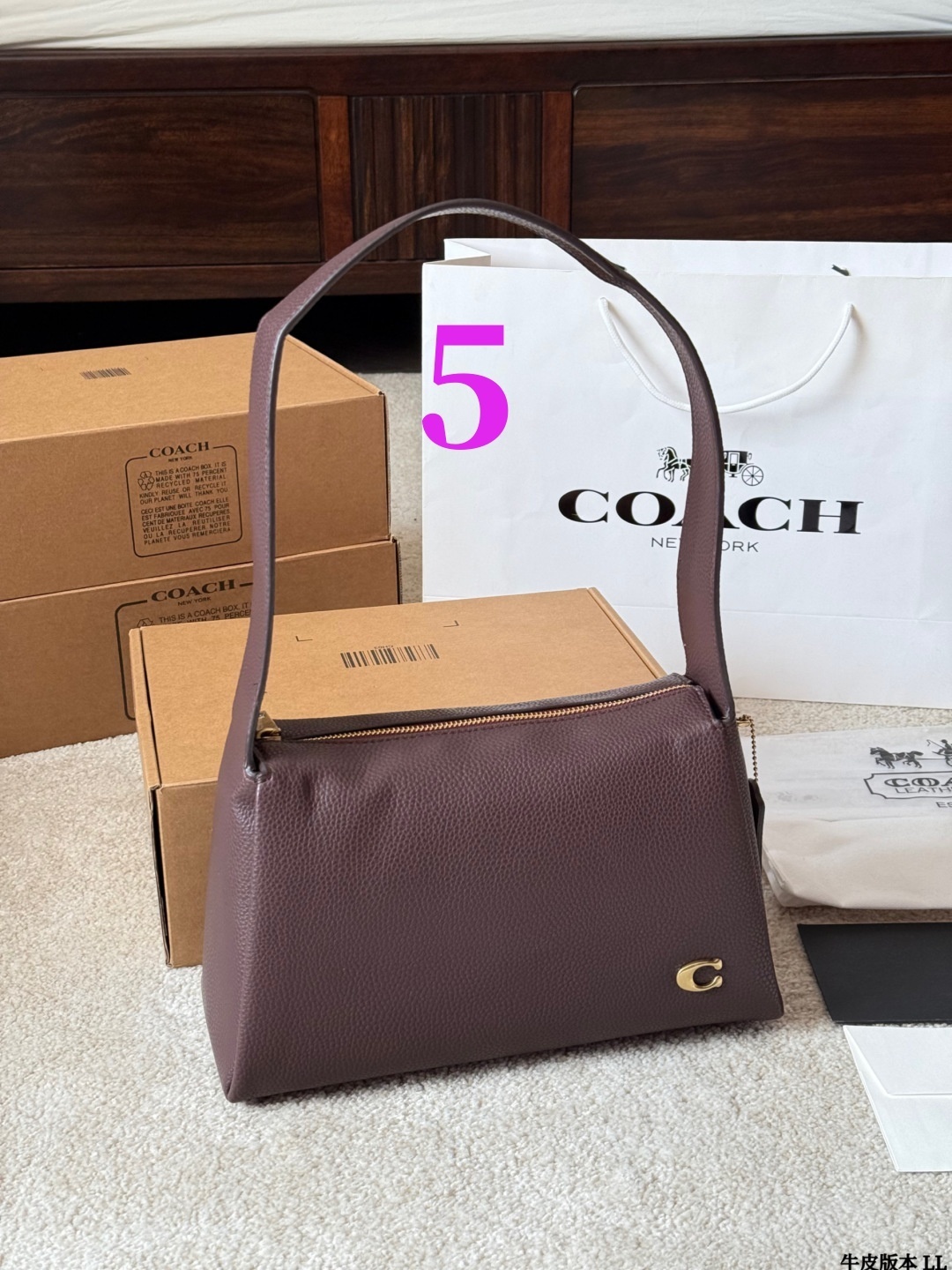 27300-COACH-450 gallery