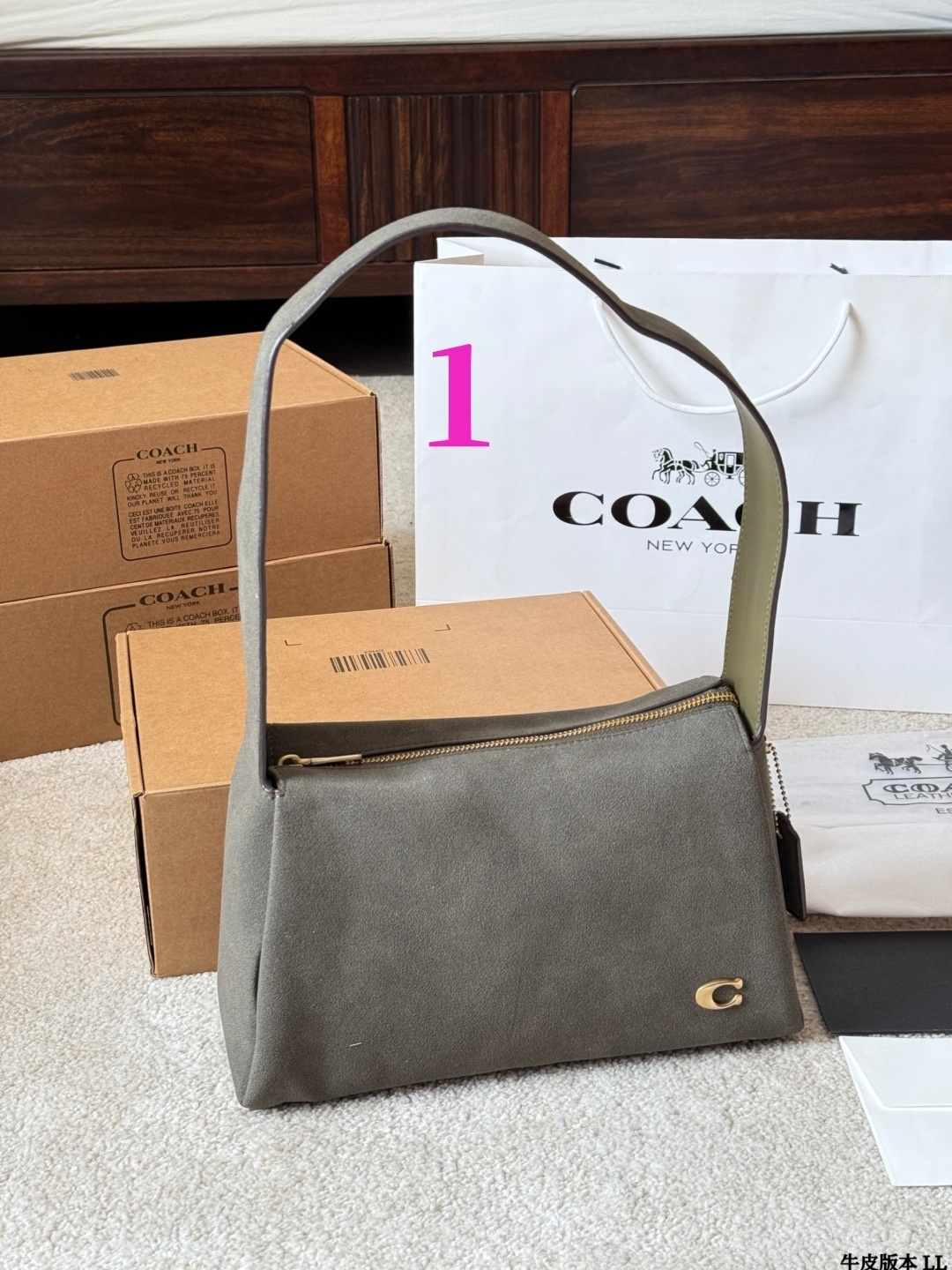 27300-COACH-450 gallery