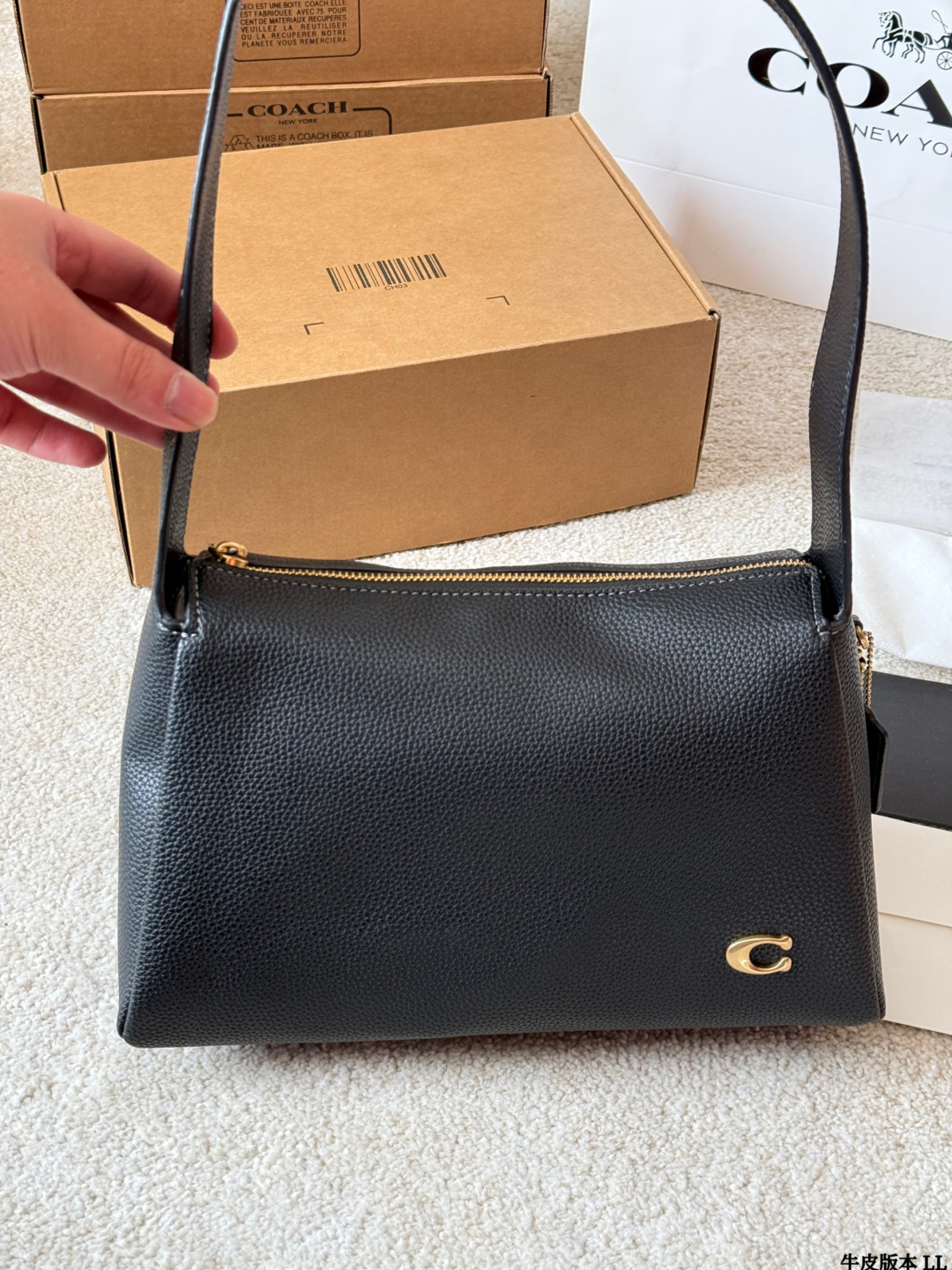 27300-COACH-450 gallery