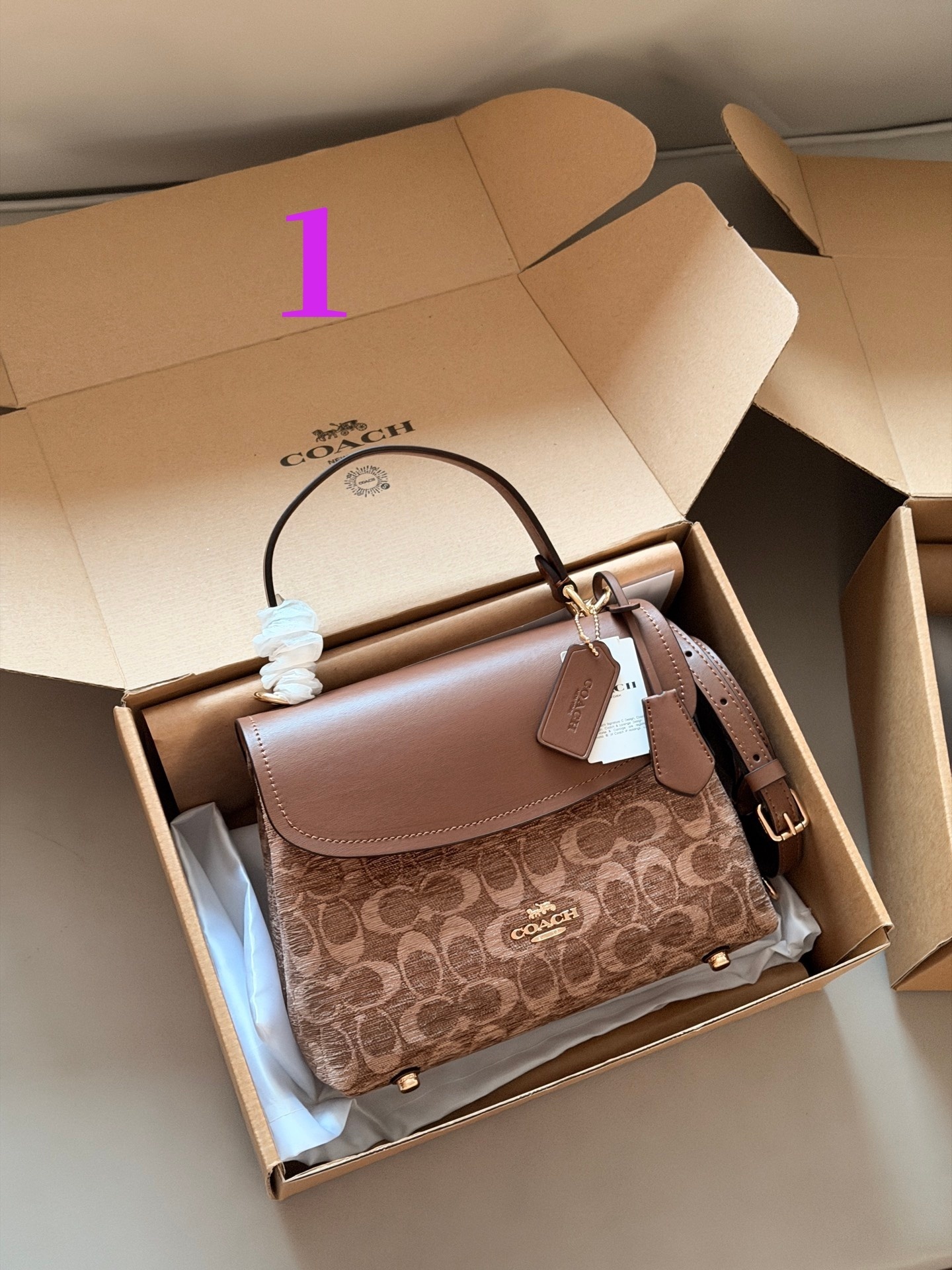 27335-COACH-500 gallery