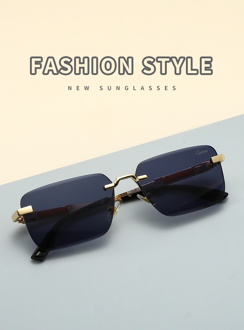 $18.00 Cartier ZT10343 gallery