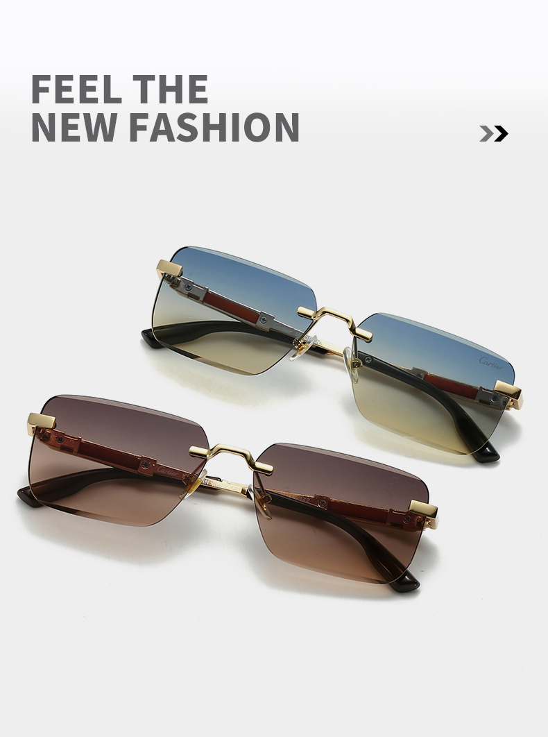 $18.00 Cartier ZT10343 gallery