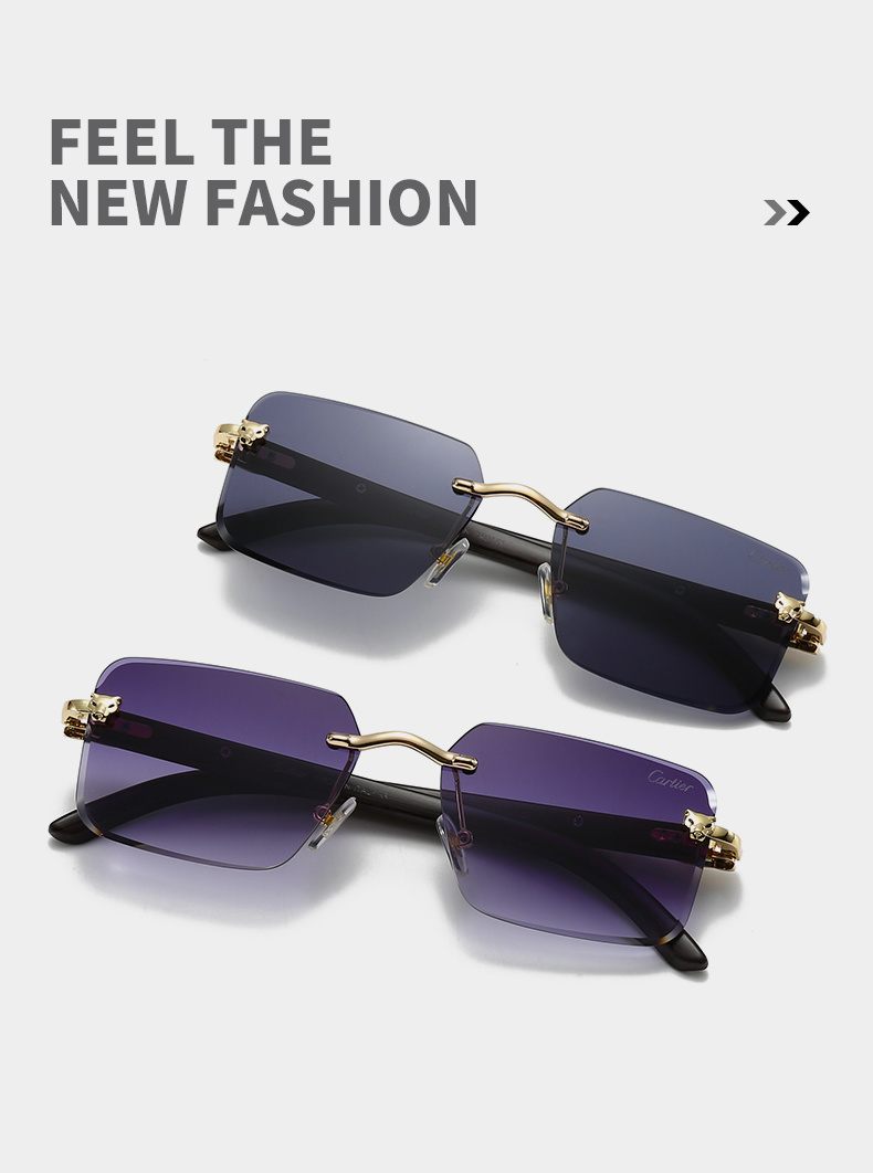 $18.00 Cartier ZT10371 gallery