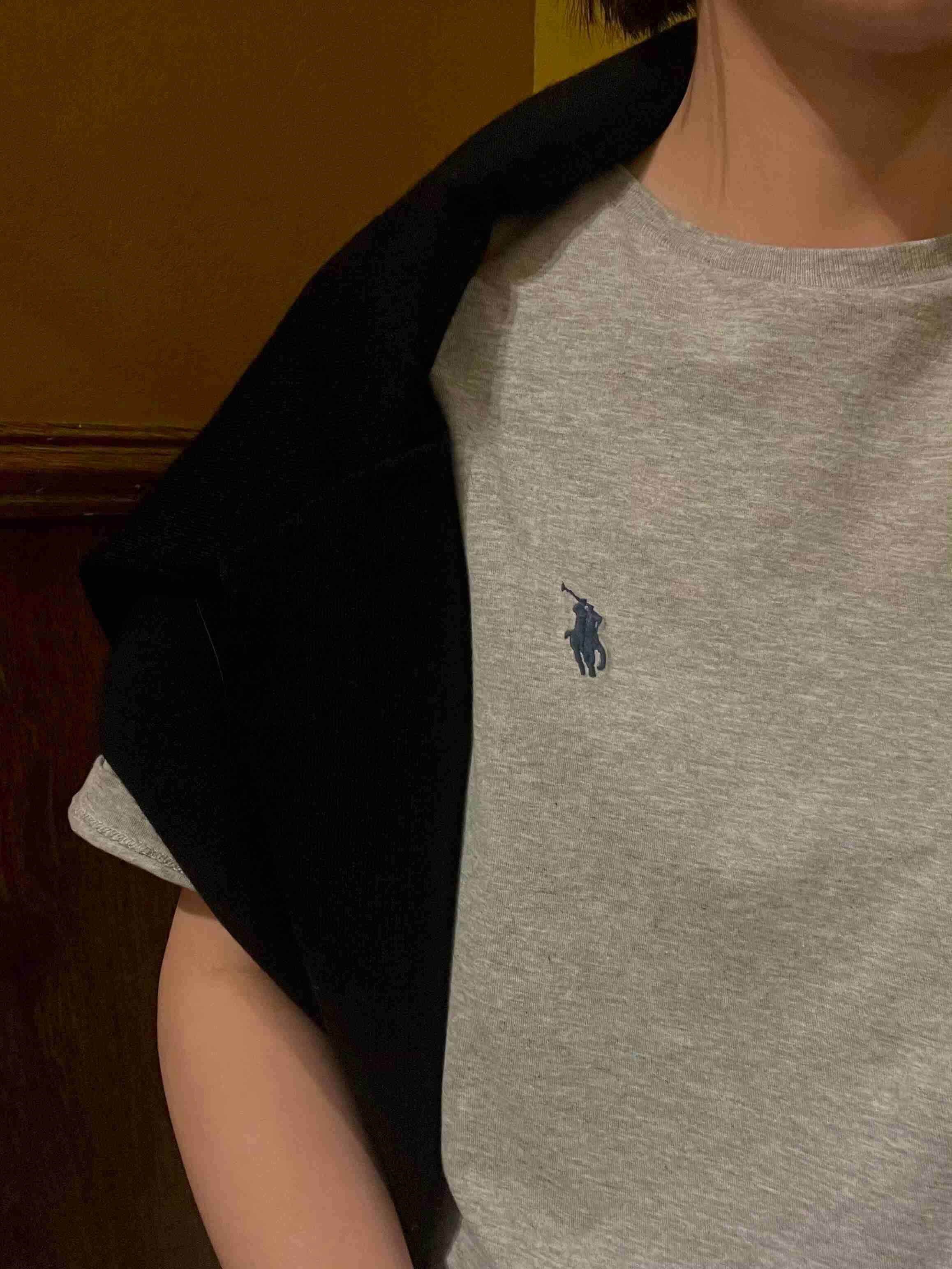 $21 POLO ZT10304 gallery