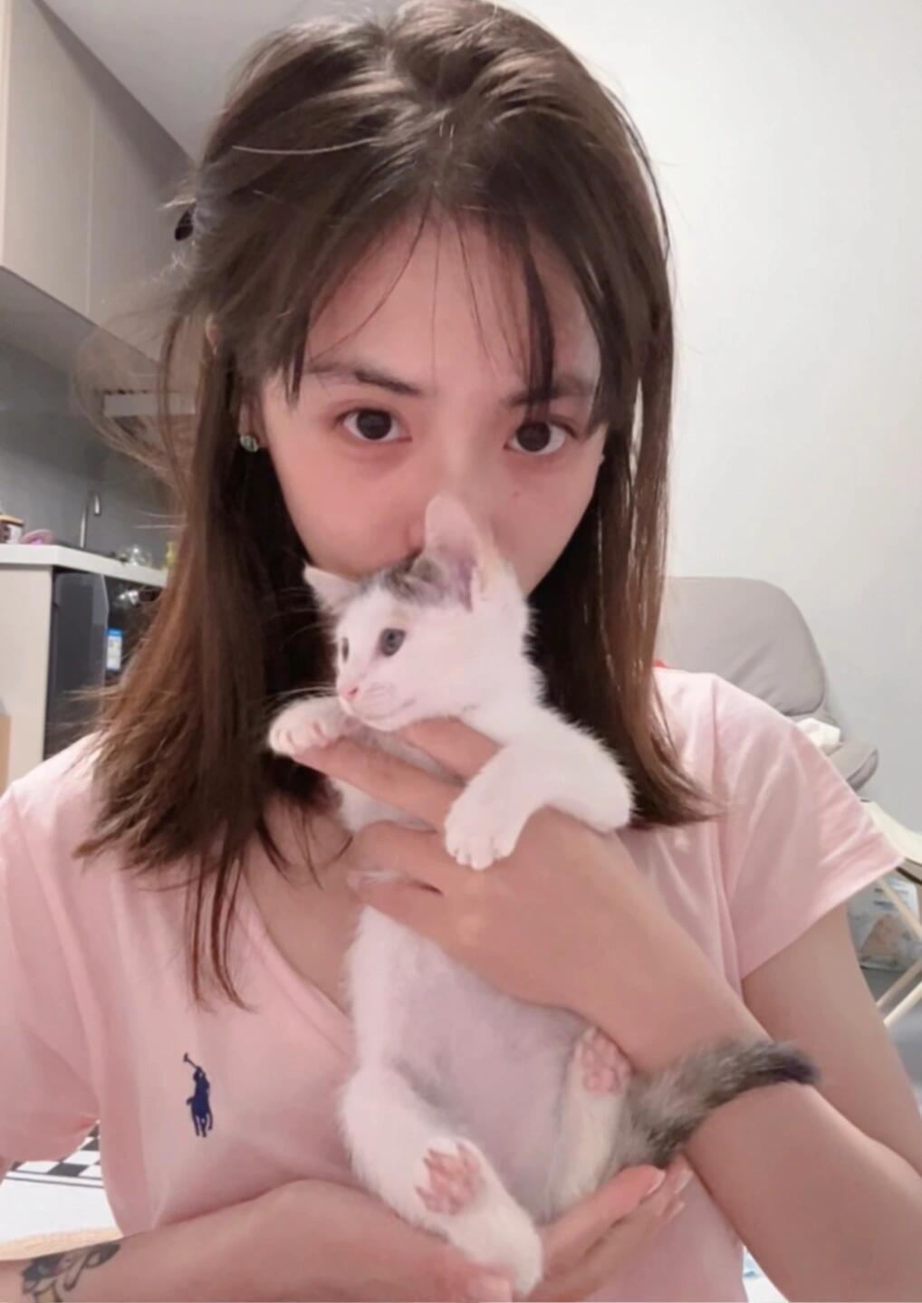 $22.50 POLO ZT10295 gallery