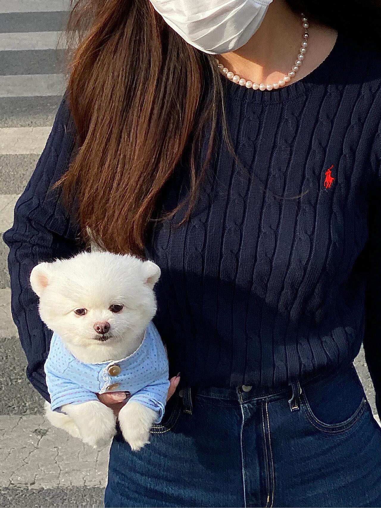 $27 POLO ZT10319 gallery