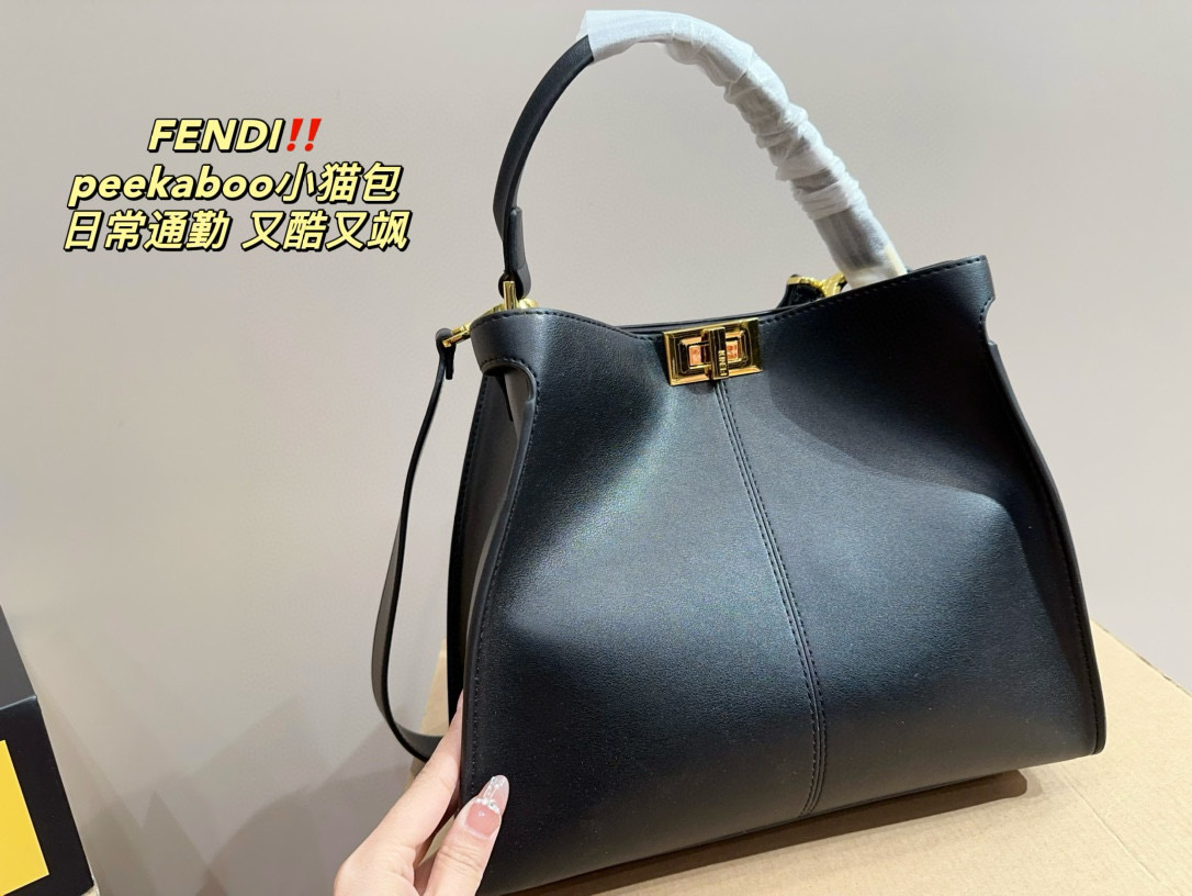 3031 $75 FENDL gallery