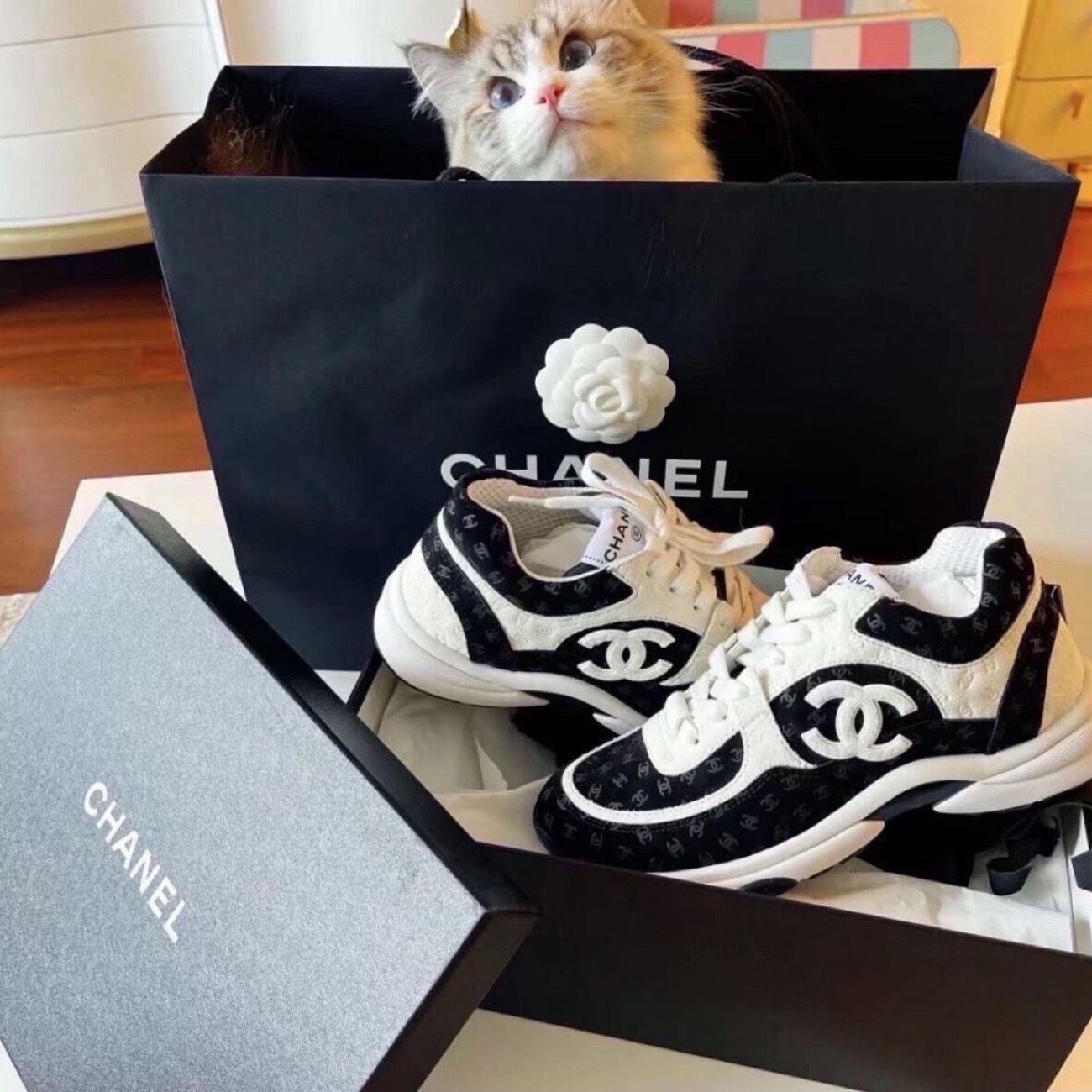 HA698 $69.99 gallery