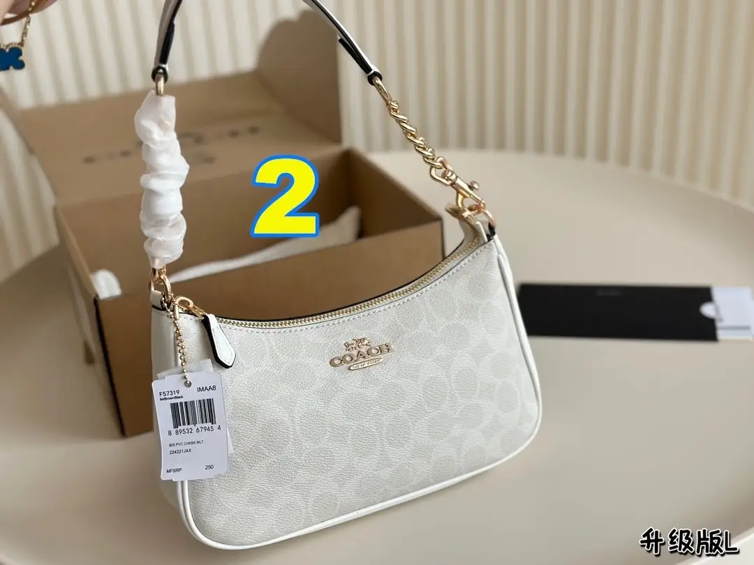 3870-55-396-coach-with box gallery