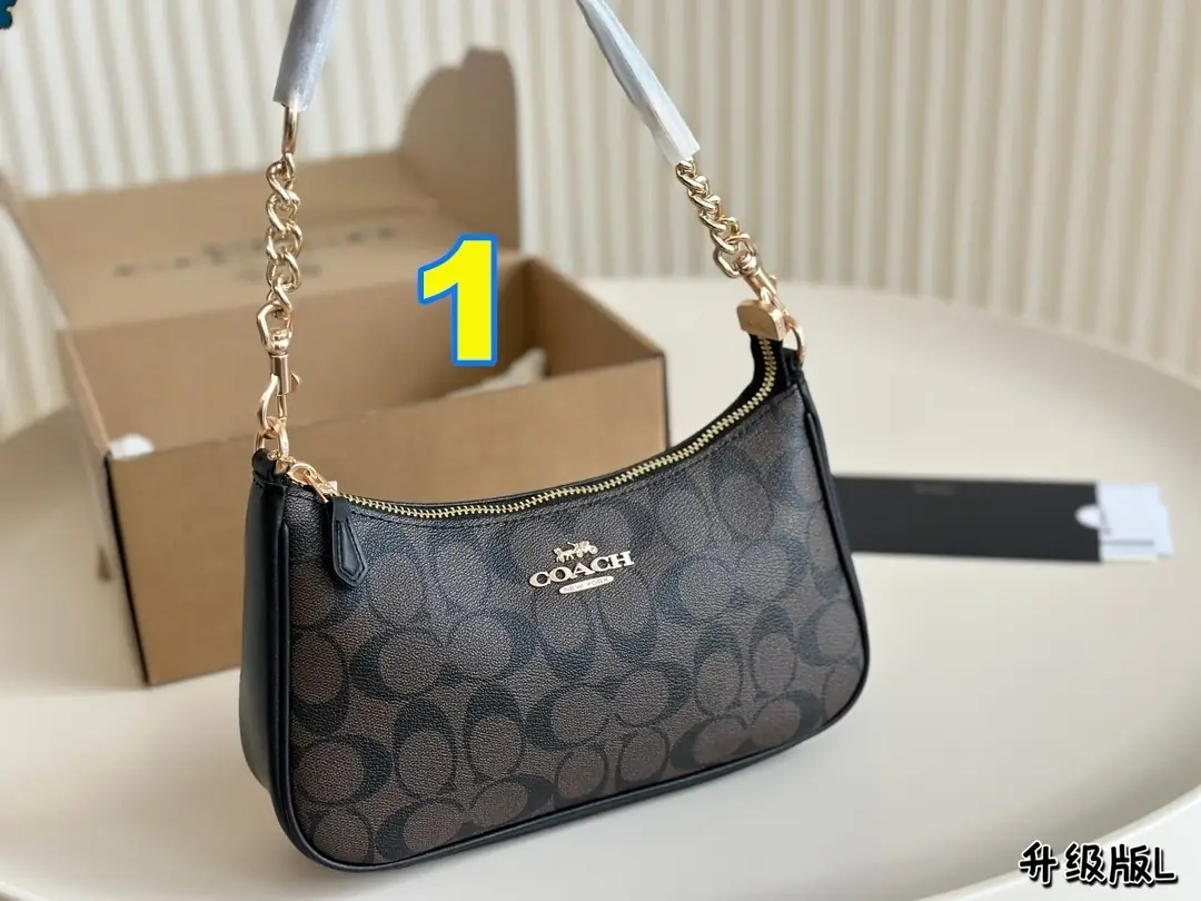 3870-55-396-coach-with box gallery