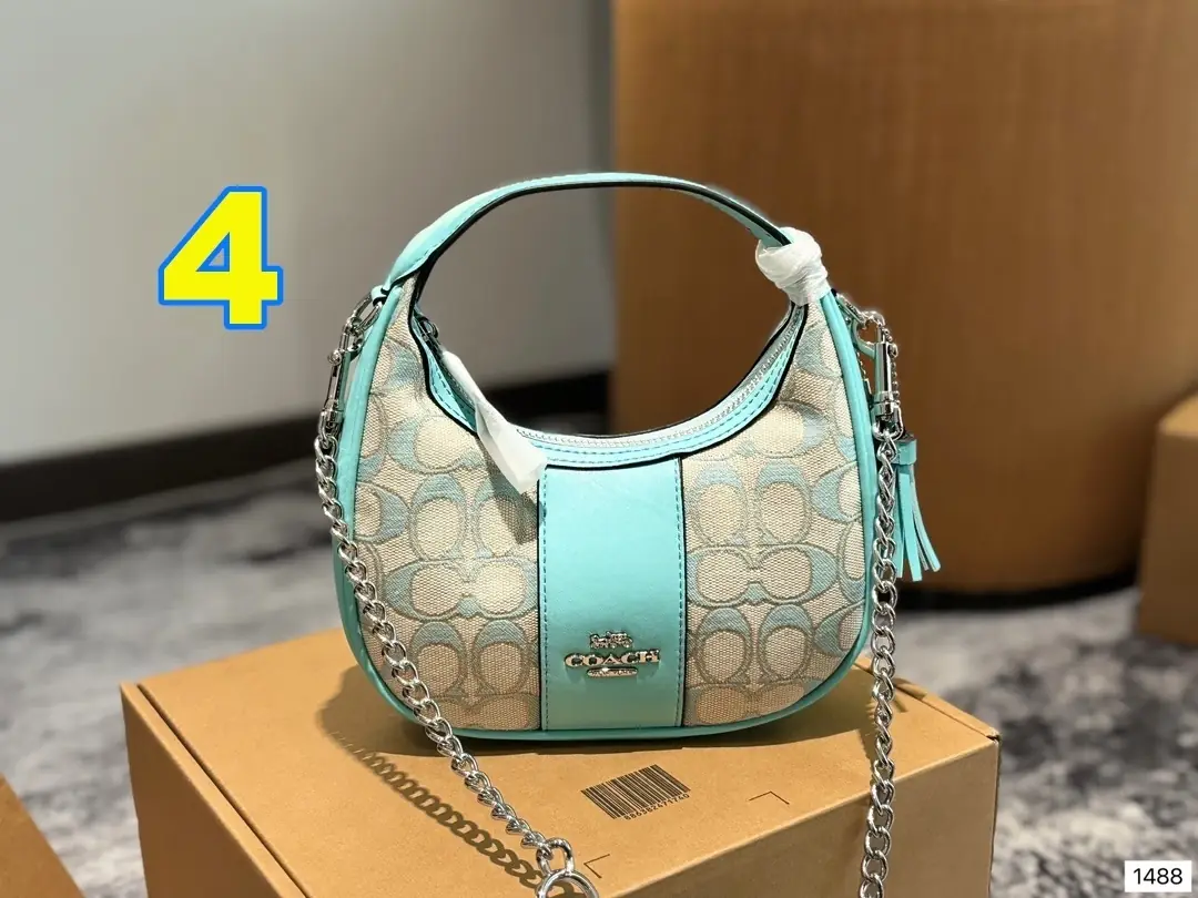 3882-69-504-COACH-WITH BOX gallery