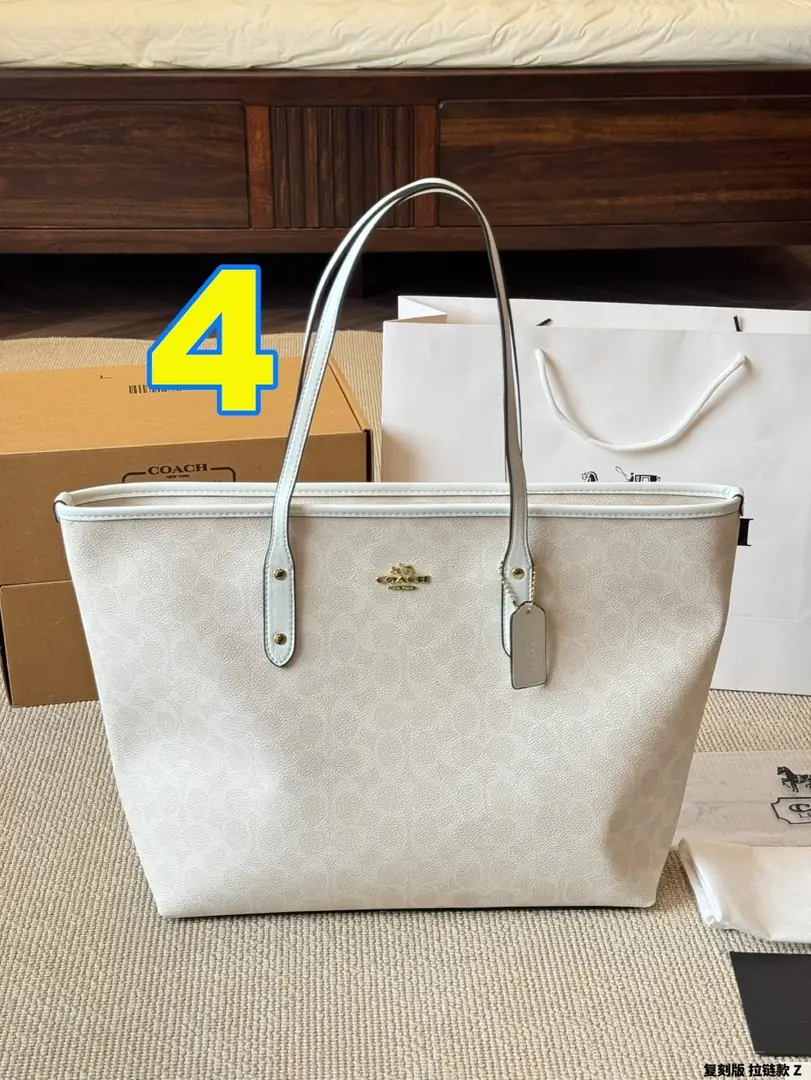 4183-65-coach gallery