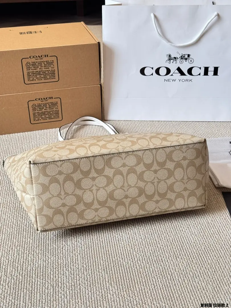 4183-65-coach gallery